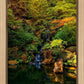 Secluded Pond