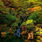 Secluded Pond