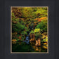 Secluded Pond