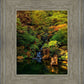 Secluded Pond