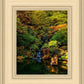 Secluded Pond