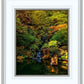 Secluded Pond