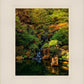 Secluded Pond