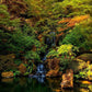 Secluded Pond