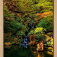 Secluded Pond