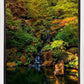 Secluded Pond