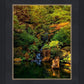 Secluded Pond
