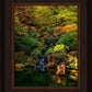 Secluded Pond