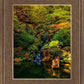 Secluded Pond
