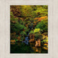 Secluded Pond