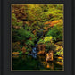 Secluded Pond