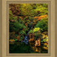 Secluded Pond