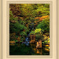 Secluded Pond