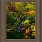 Secluded Pond