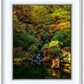 Secluded Pond