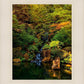 Secluded Pond