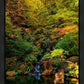 Secluded Pond