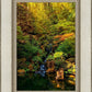 Secluded Pond