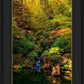 Secluded Pond