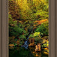 Secluded Pond