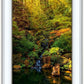 Secluded Pond