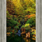 Secluded Pond