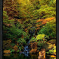 Secluded Pond