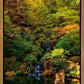 Secluded Pond