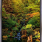 Secluded Pond