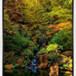 Secluded Pond