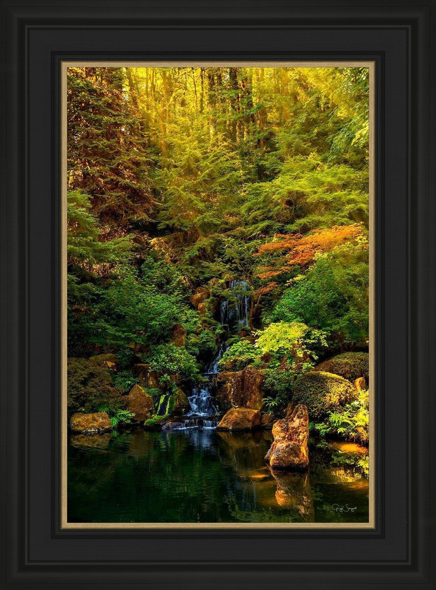 Secluded Pond