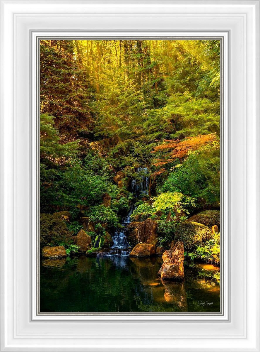 Secluded Pond