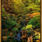 Secluded Pond