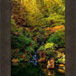 Secluded Pond
