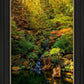 Secluded Pond