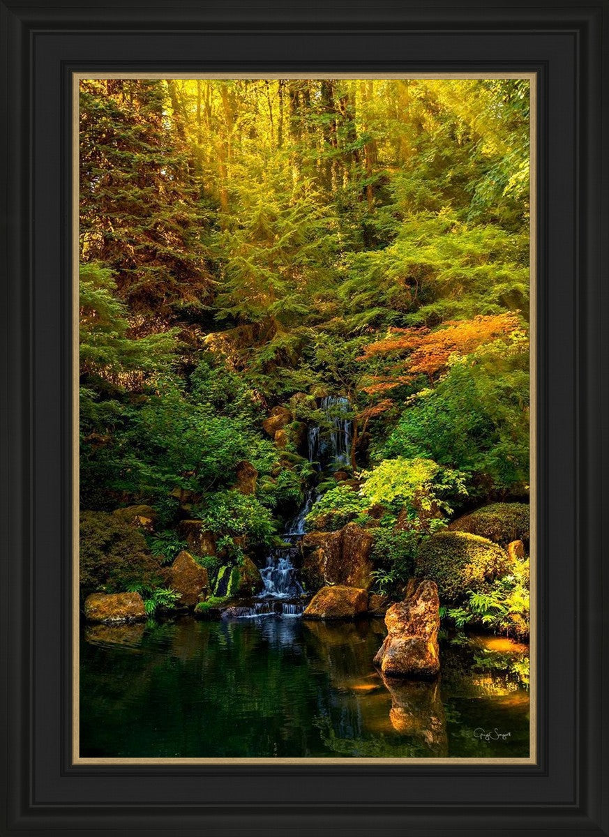 Secluded Pond