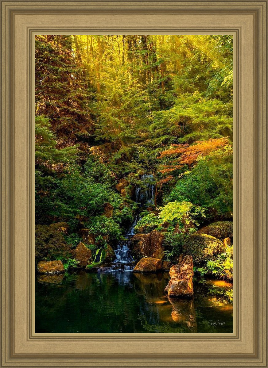 Secluded Pond