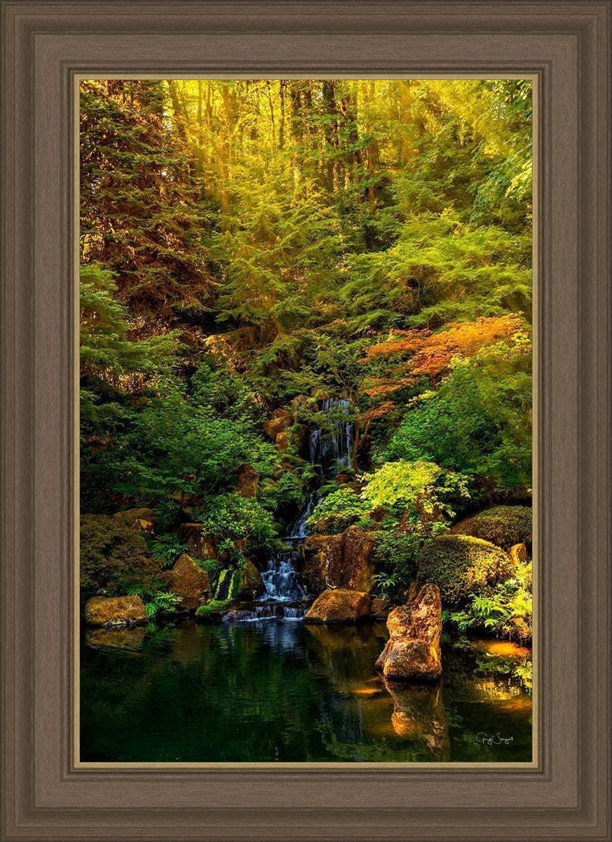 Secluded Pond