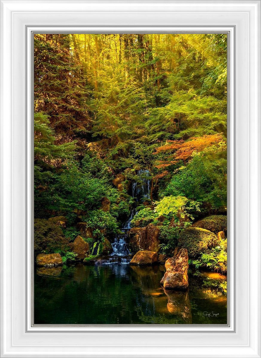 Secluded Pond