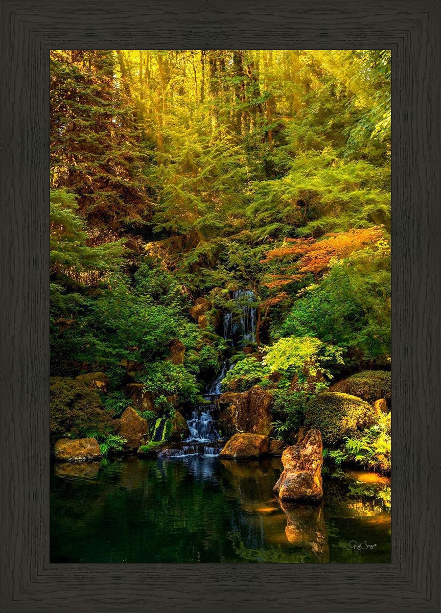 Secluded Pond