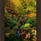 Secluded Pond