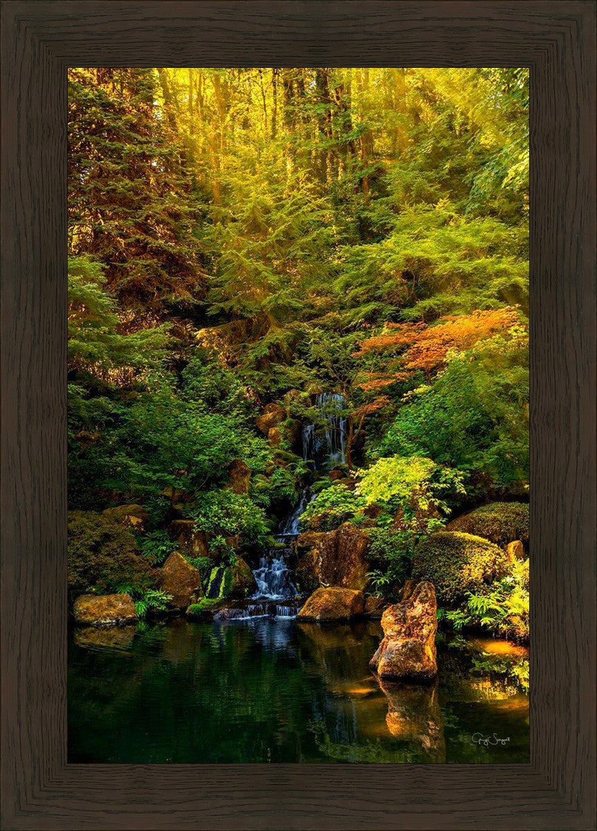 Secluded Pond