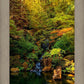 Secluded Pond