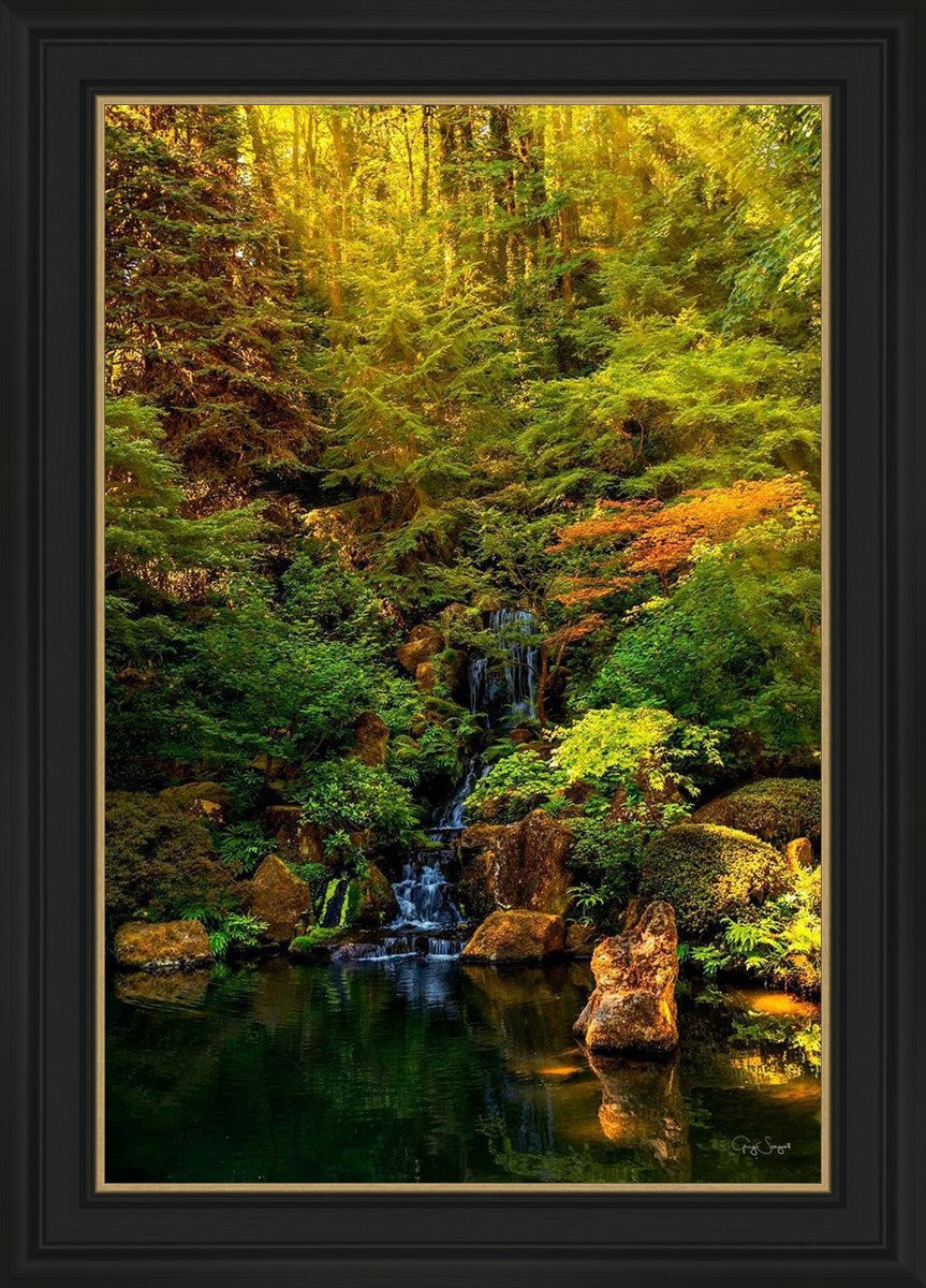 Secluded Pond