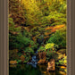 Secluded Pond