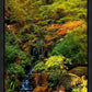 Secluded Pond