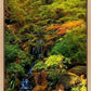 Secluded Pond