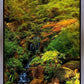 Secluded Pond