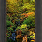 Secluded Pond