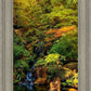 Secluded Pond